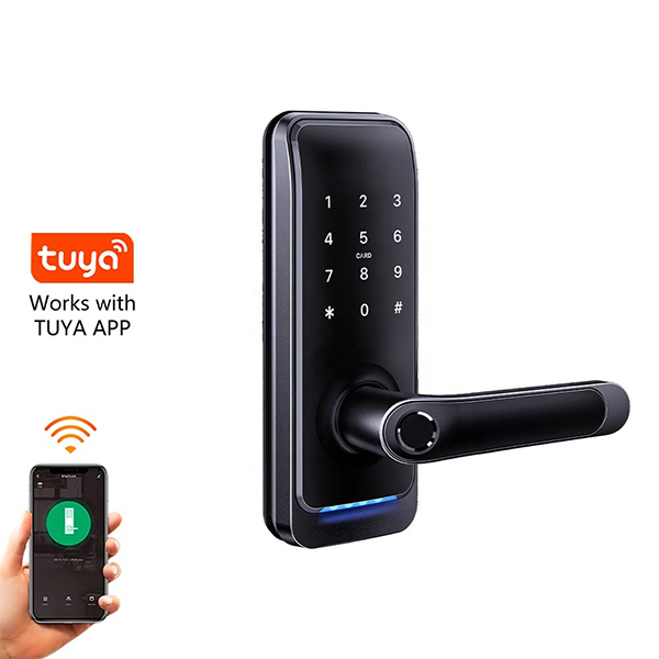 Aussehensmerkmale von Smart Locks